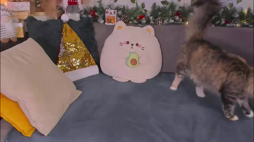 tori_the_witch Приват Записи 2026-01-04