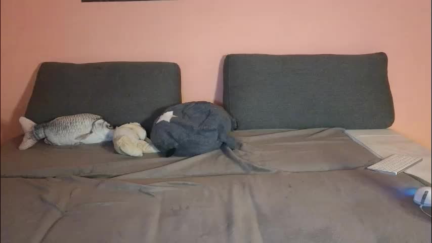 katusha008 Приват Записи 2026-01-05