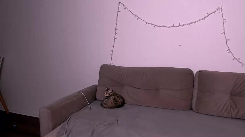 ladytrep Приват Записи 2026-01-06