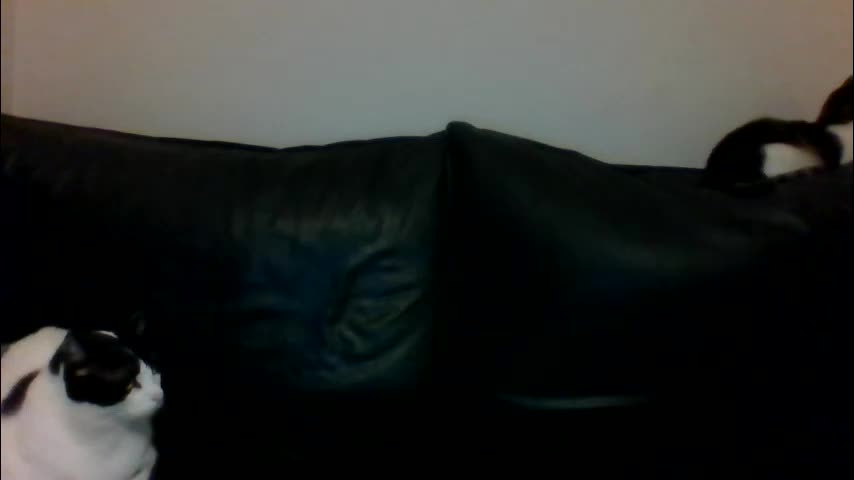 milagaborxx Приват Записи 2025-12-10