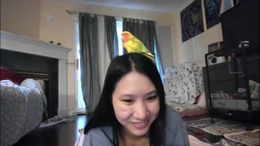 alizezaide Приват Записи 2026-01-08