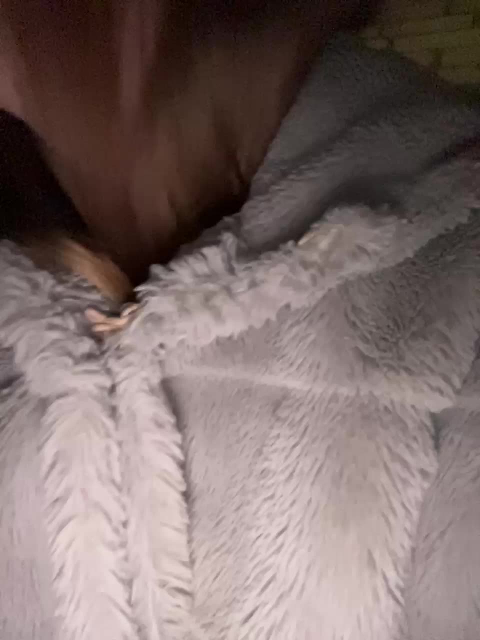 SWEET1SQUIRT Приват Записи 2026-01-04