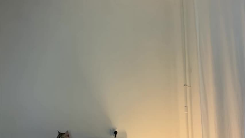 milky__way_ Приват Записи 2026-01-08