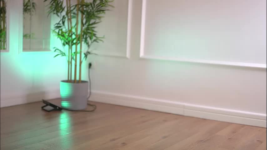 alexxiskye Приват Записи 2026-01-06