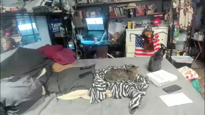 pink_black Приват Записи 2026-01-04