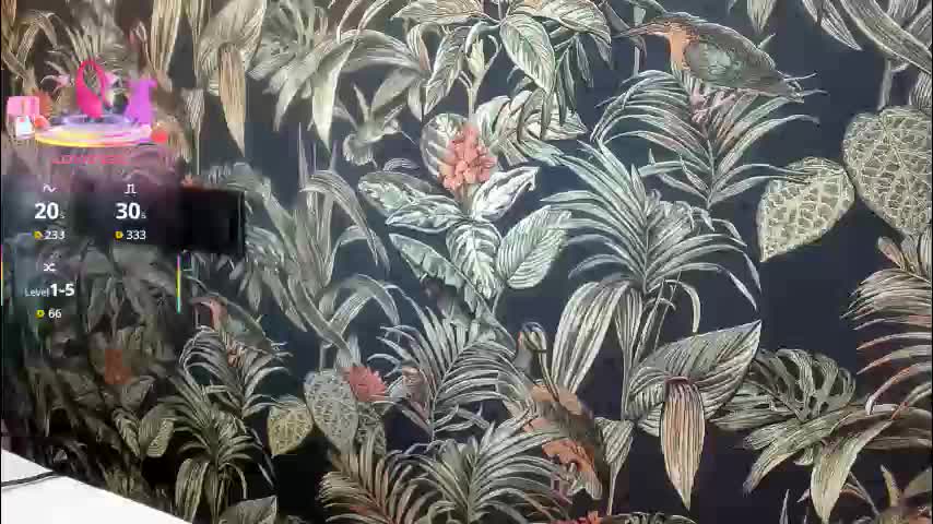 dyafirst Приват Записи 2025-12-10