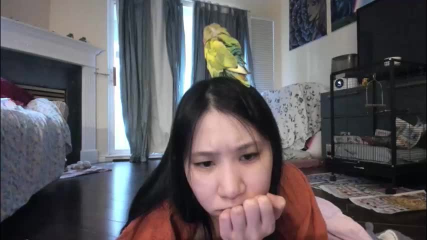 alizezaide Приват Записи 2026-01-07