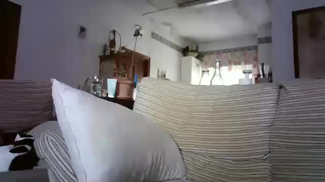 lolahueso Приват Записи 2025-12-11