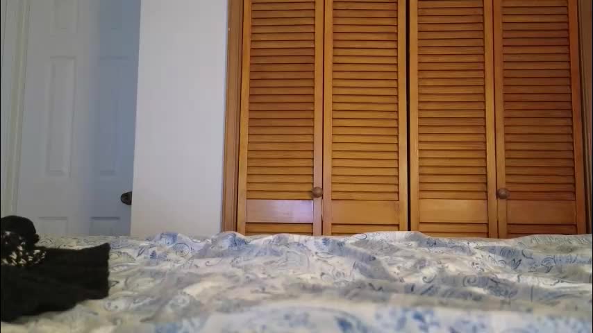 lovelace390 Приват Записи 2025-12-17