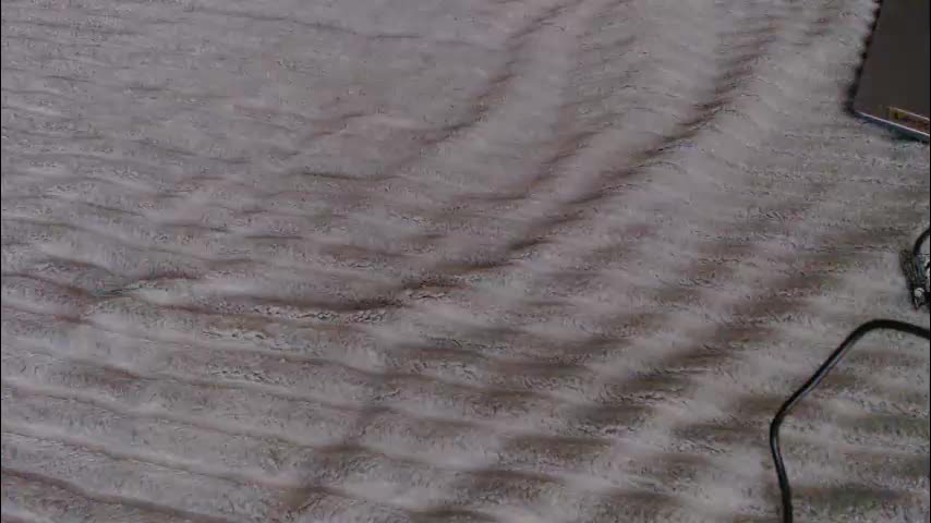 single_fox_4u Приват Записи 2025-11-10