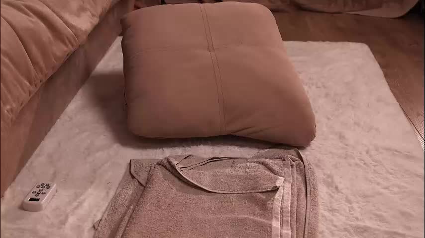 adelheid1 Приват Записи 2025-12-13