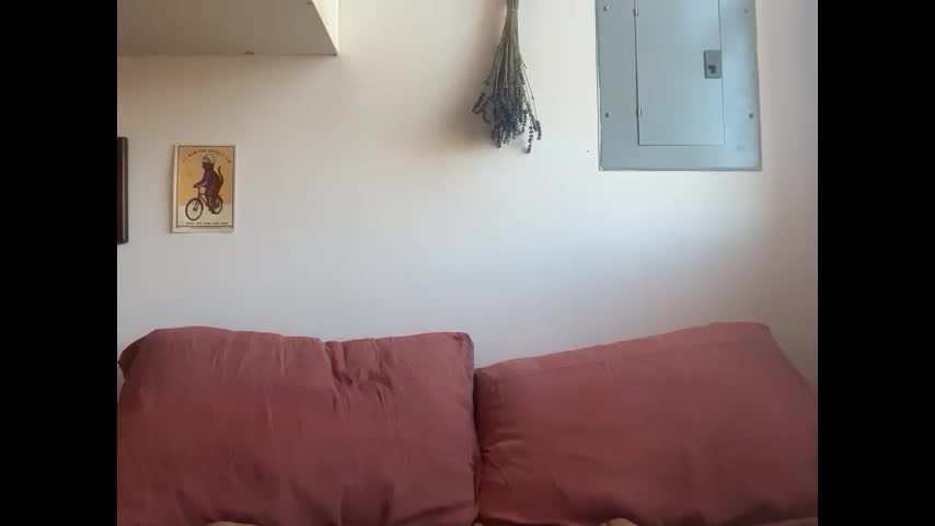 cuteballoons Приват Записи 2025-11-15