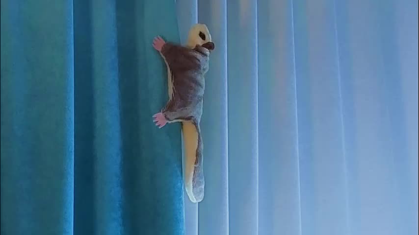 jolyndeb Приват Записи 2025-12-19