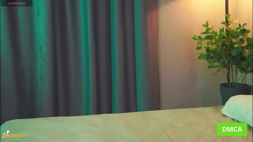 bellacle Приват Записи 2026-01-08