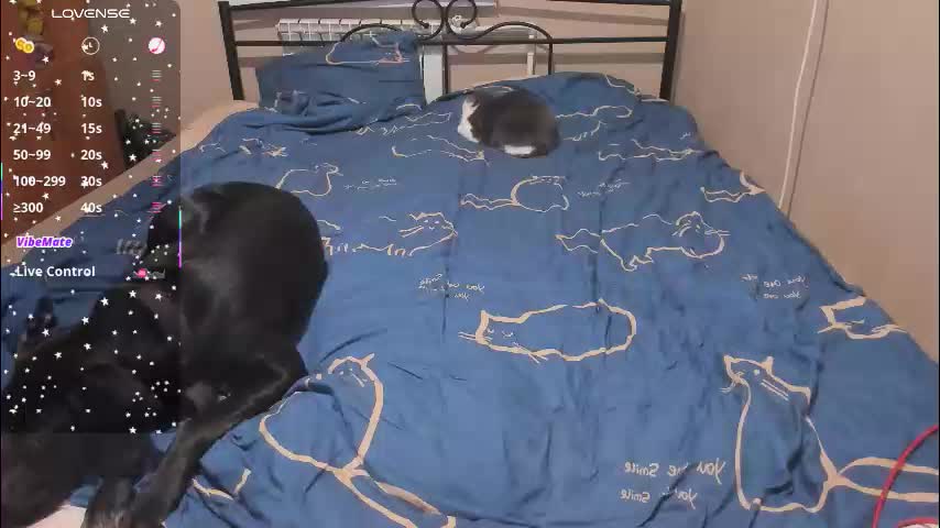 eva_zero Приват Записи 2025-12-08