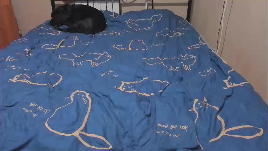 eva_zero Приват Записи 2026-01-09