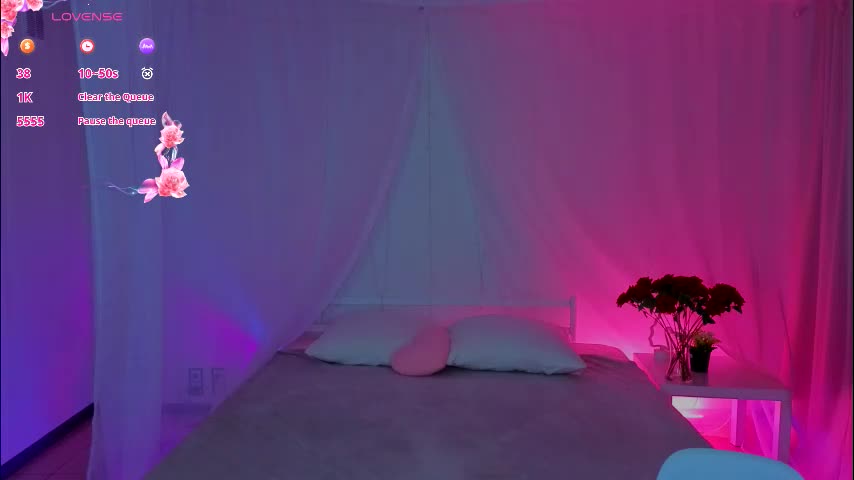 adet1a Приват Записи 2025-11-19