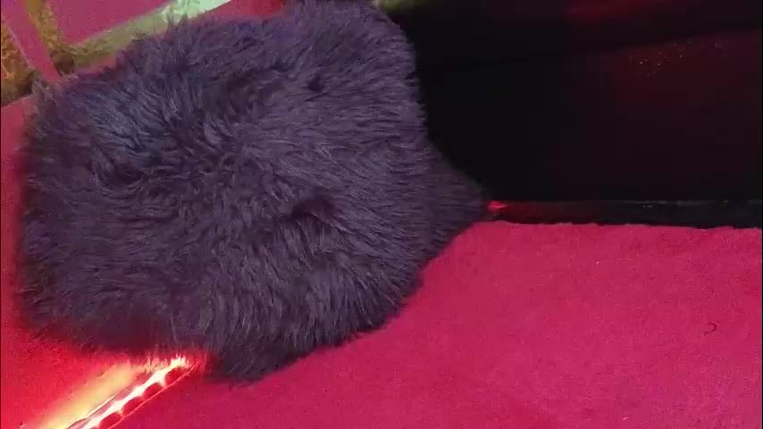 alissa4_ Приват Записи 2025-11-10