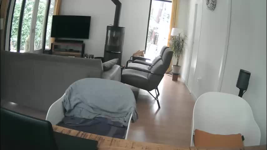 woodwurm Приват Записи 2026-01-09