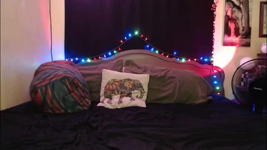 foxymalloryknoxy69 Приват Записи 2026-01-10