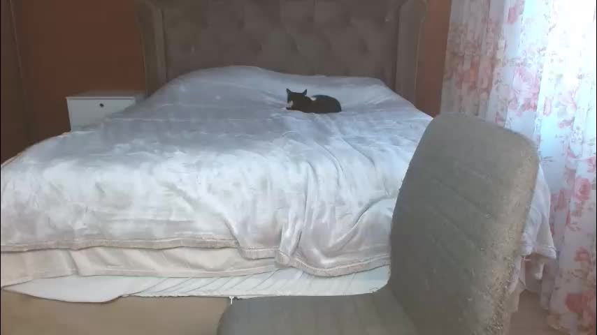 mishakiss34 Приват Записи 2026-01-11