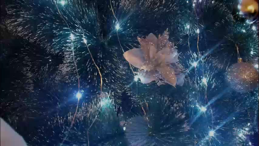 imcarrieberry Приват Записи 2026-01-11