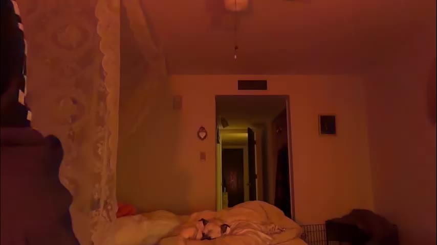 channel022 Приват Записи 2026-01-11