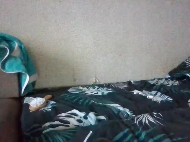 rDIORr Приват Записи 2026-01-11