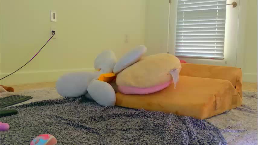 shaylavee Приват Записи 2026-01-12