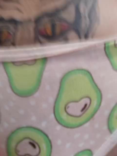 RedFox9595 Приват Записи 2026-01-12