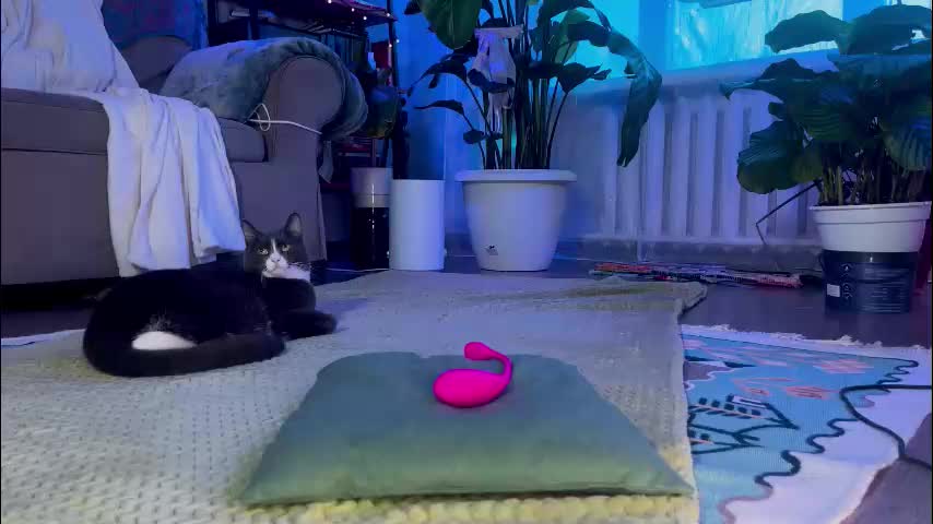 sasha_moormeoow Приват Записи 2026-01-12