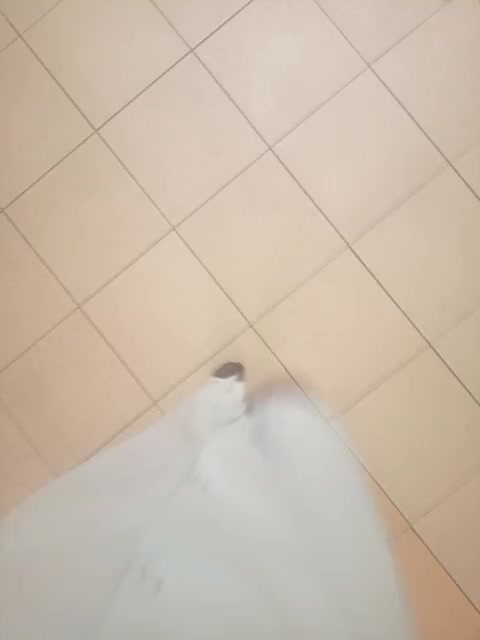 Lady-marshmallows Приват Записи 2026-01-12