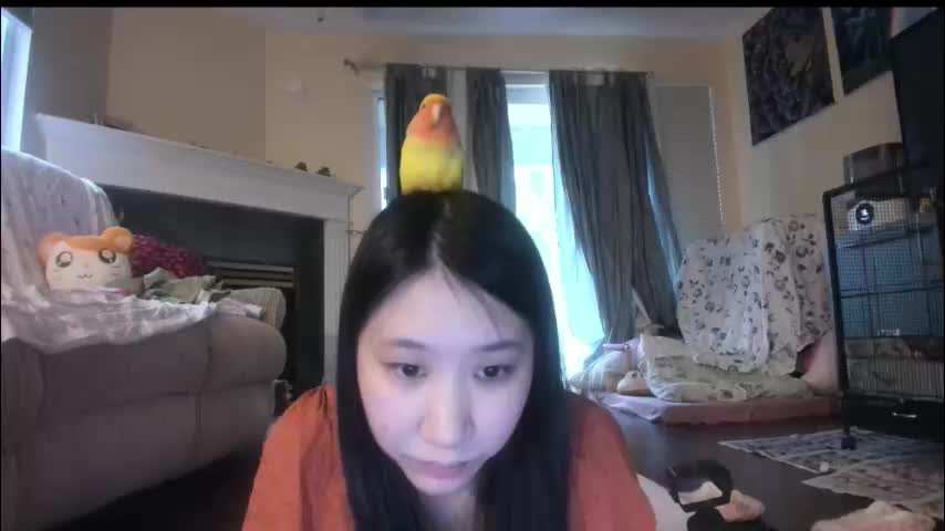 alizezaide Приват Записи 2026-01-13