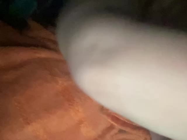 EVIL_TITS Приват Записи 2026-01-13