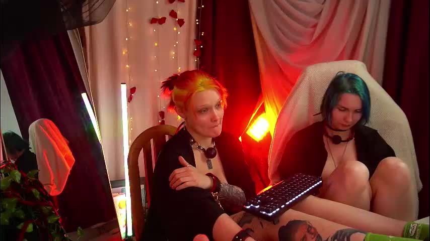 fox_and_dog Приват Записи 2026-01-15