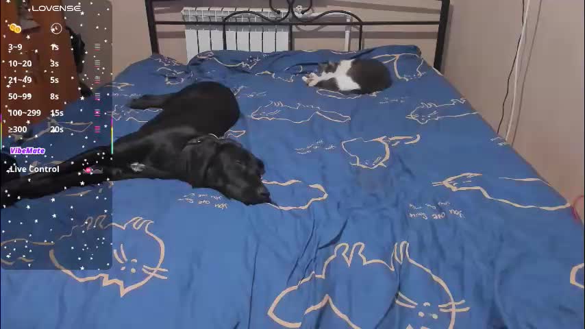 eva_zero Приват Записи 2026-01-15