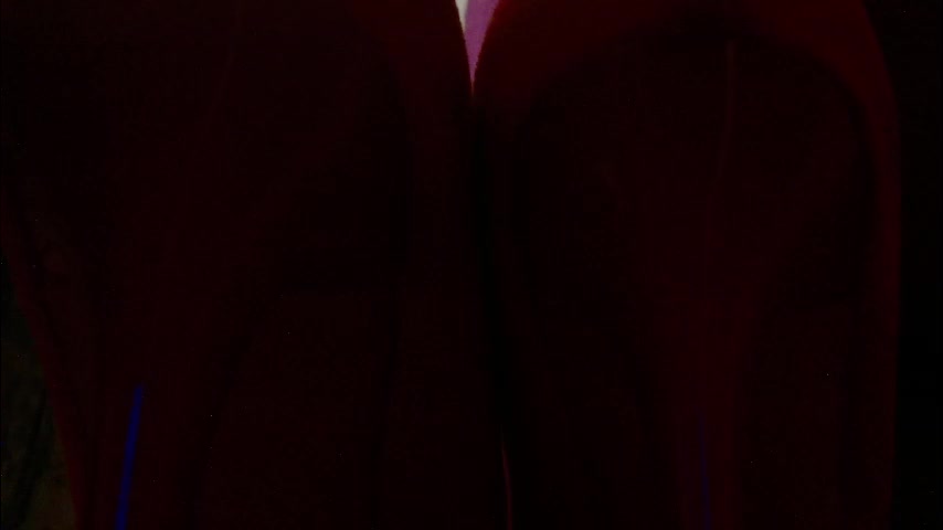 imcarrieberry Приват Записи 2026-01-15