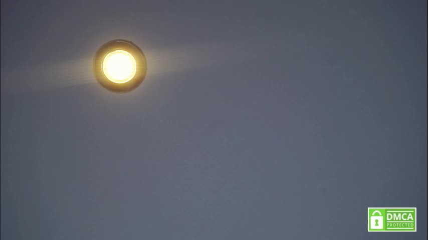 tashinapetitto Приват Записи 2026-01-16