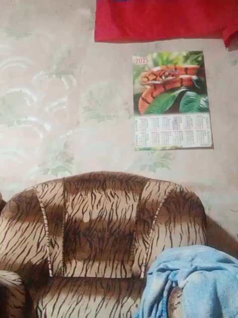 Calibriya Приват Записи 2026-01-16