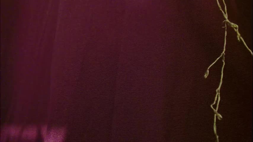 imcarrieberry Приват Записи 2026-01-16