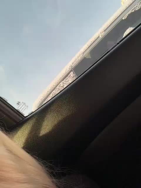 -Estonia- Приват Записи 2026-01-16