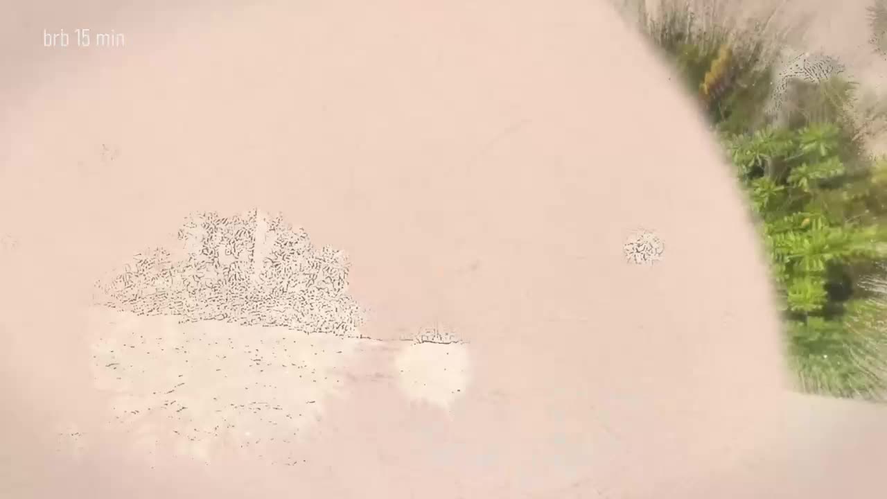 Taanni Приват Записи 2026-01-17