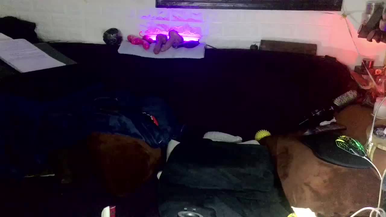 Fantasyca Приват Записи 2026-01-17