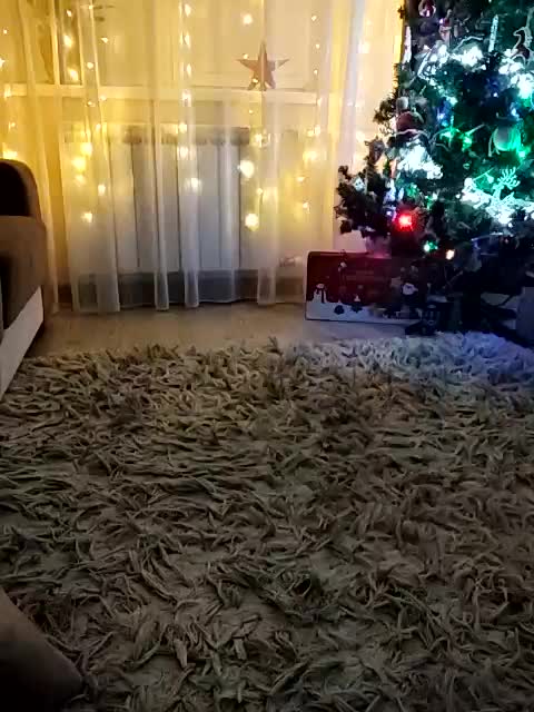 Koshkaxxx Приват Записи 2026-01-17