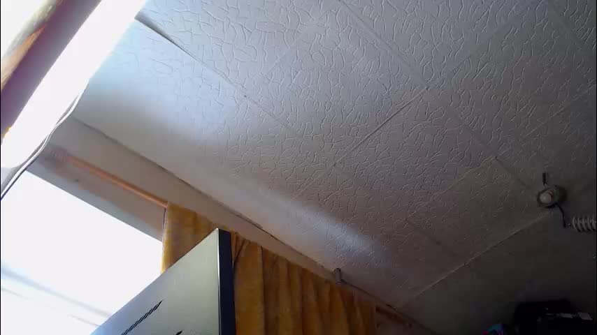 shyredstar Приват Записи 2026-01-18