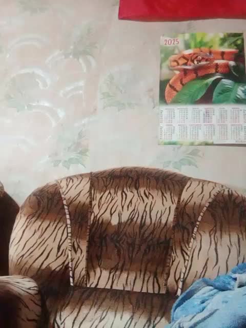 Calibriya Приват Записи 2026-01-18