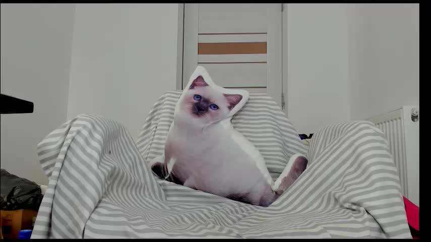 you_love_melisa Приват Записи 2026-01-18