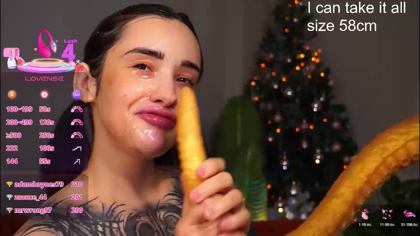 evarabbit Приват Записи 2026-01-19