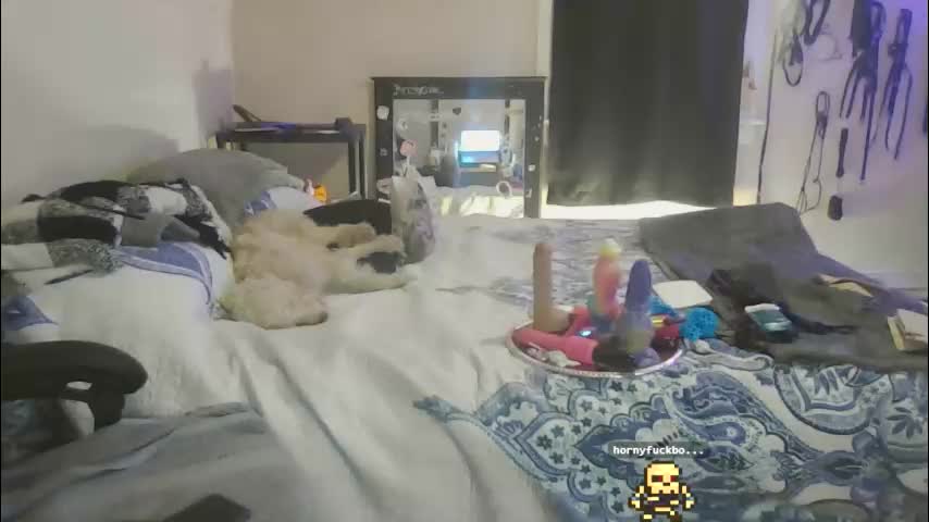 kristycake Приват Записи 2026-01-19