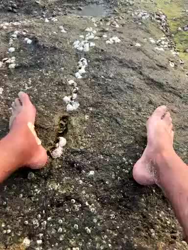 VolnaV Приват Записи 2026-01-20